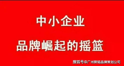 中小企業(yè)如何通過專業(yè)經(jīng)濟(jì)貿(mào)易咨詢，高效打造品牌策劃